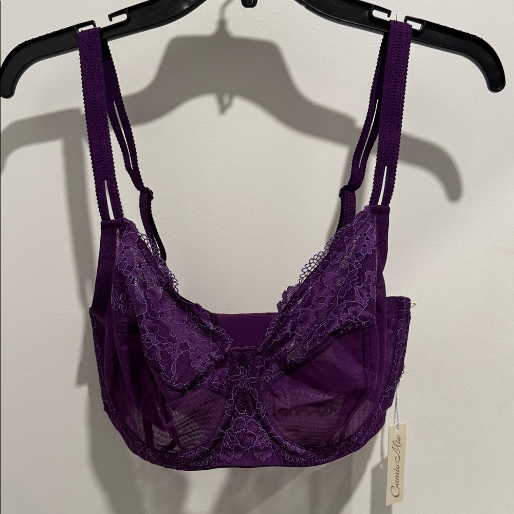 Chic Purple Lace Bra 34H NWT